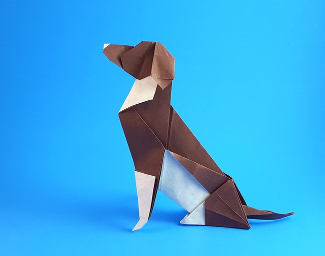 Origami Beagle by Seth M. Friedman. Folded from a square of origami paper by Gilad Aharoni on giladorigami.com