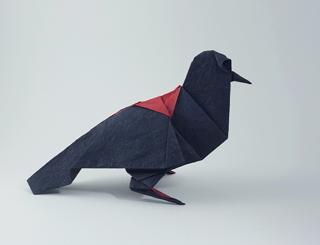 Origami Red-winged Blackbird by Robert J. Lang. Folded from a square of duo origami paper by Gilad Aharoni on giladorigami.com