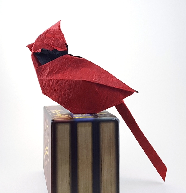Origami Cardinal by Ta Trung Dong. Folded from a square of Duo Thai paper by Gilad Aharoni on giladorigami.com