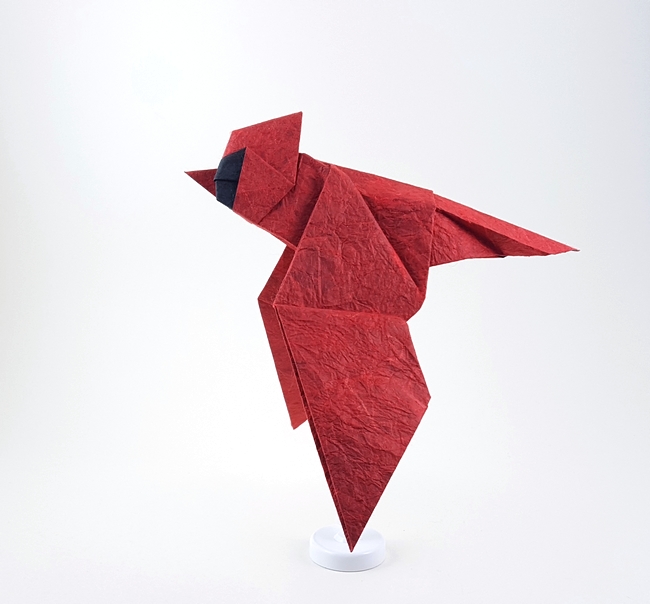Origami Cardinal by Seth M. Friedman. Folded from a square of double-sided Unryu paper by Gilad Aharoni on giladorigami.com