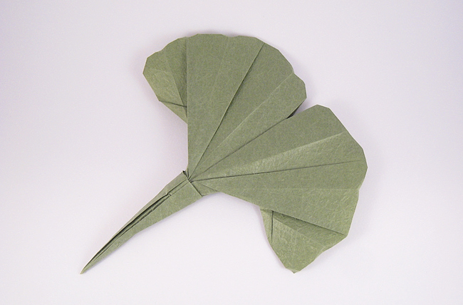 Origami Gingko leaf by Peter Engel. Folded from a square of Vietnamese wrapping-paper by Gilad Aharoni on giladorigami.com