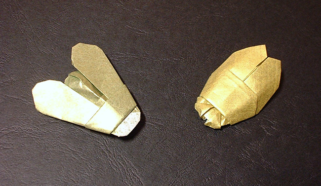 Origami Fly 1 by Alfredo Giunta. Folded from a square of beetle origami paper by Gilad Aharoni on giladorigami.com