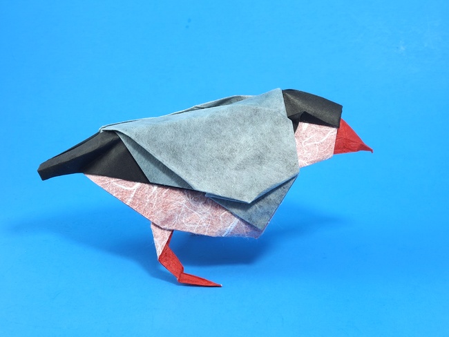 Origami Java sparrow by Kyohei Katsuta folded by Gilad Aharoni