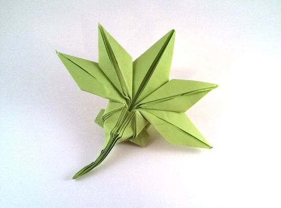 Origami Maple leaf by Jun Maekawa. Folded from a rectangle of IKEA A4 paper by Gilad Aharoni on giladorigami.com