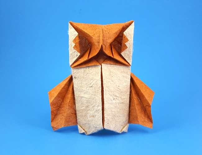 Origami Owl by Francesco Miglionico. Folded from a rectangle of Duo Thai paper by Gilad Aharoni on giladorigami.com