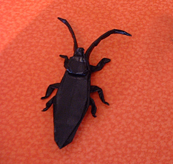Origami Black pine sawyer by Robert J. Lang. Folded from a square of origami paper by Gilad Aharoni on giladorigami.com