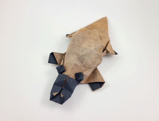 Origami Platypus by Mitsuda Shigeru folded by Gilad Aharoni