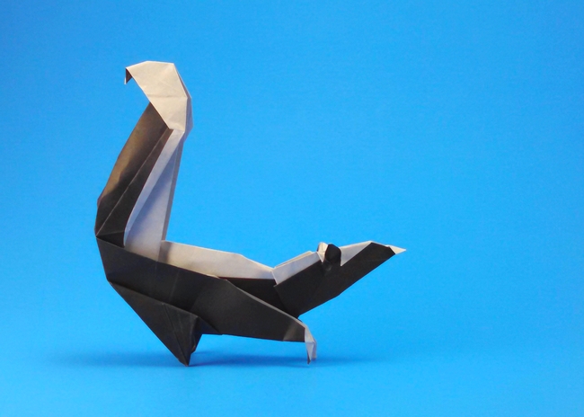 Origami Skunk by Fred Rohm. Folded from a square of origami paper by Gilad Aharoni on giladorigami.com