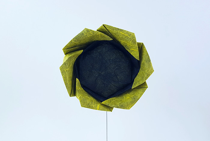 Origami Sunflower by Yara Yagi. Folded by Gilad Aharoni on giladorigami.com