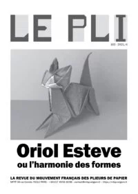 Cover of Le Pli 163