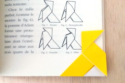 Origami Pajarita corner marker by Michel Grand on giladorigami.com