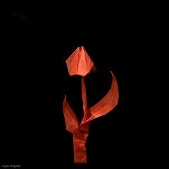 Origami Tulip by Kang Han Ul on giladorigami.com