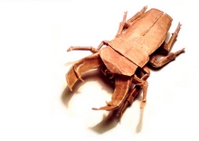 Origami Dorcus curvidens by Brian Chan on giladorigami.com