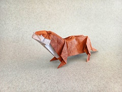 Origami Otter by Satoshi Kamiya on giladorigami.com