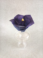 Origami Campanula by Yara Yagi on giladorigami.com