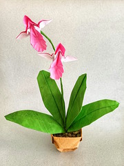 Origami Orchid by Yara Yagi on giladorigami.com
