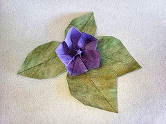 Origami Quince blossom by Yara Yagi on giladorigami.com