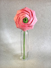 Origami Ranunculus by Yara Yagi on giladorigami.com
