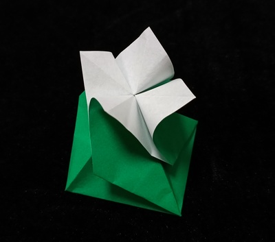 Origami Hydrangea swirl box by Jannie van Schuylenburg on giladorigami.com
