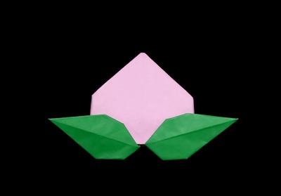 Origami Peach by Niwa Taiko on giladorigami.com