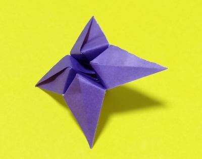 Origami Flower by Adolfo Cerceda on giladorigami.com