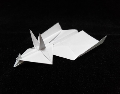 Origami Triceratops plane by Paul Frasco on giladorigami.com