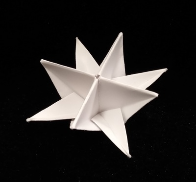 Origami Water lily by James M. Sakoda on giladorigami.com